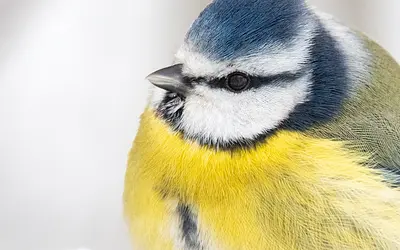 Mitarbeiterin des Monats Februar
