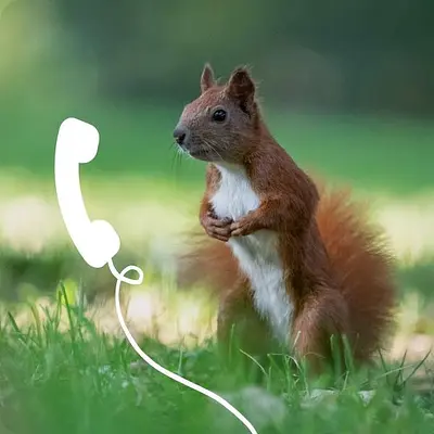 NABU-Naturtelefon