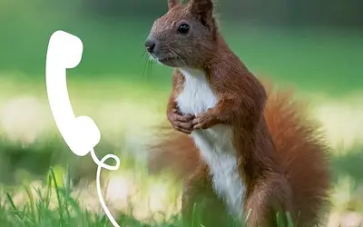 NABU-Naturtelefon